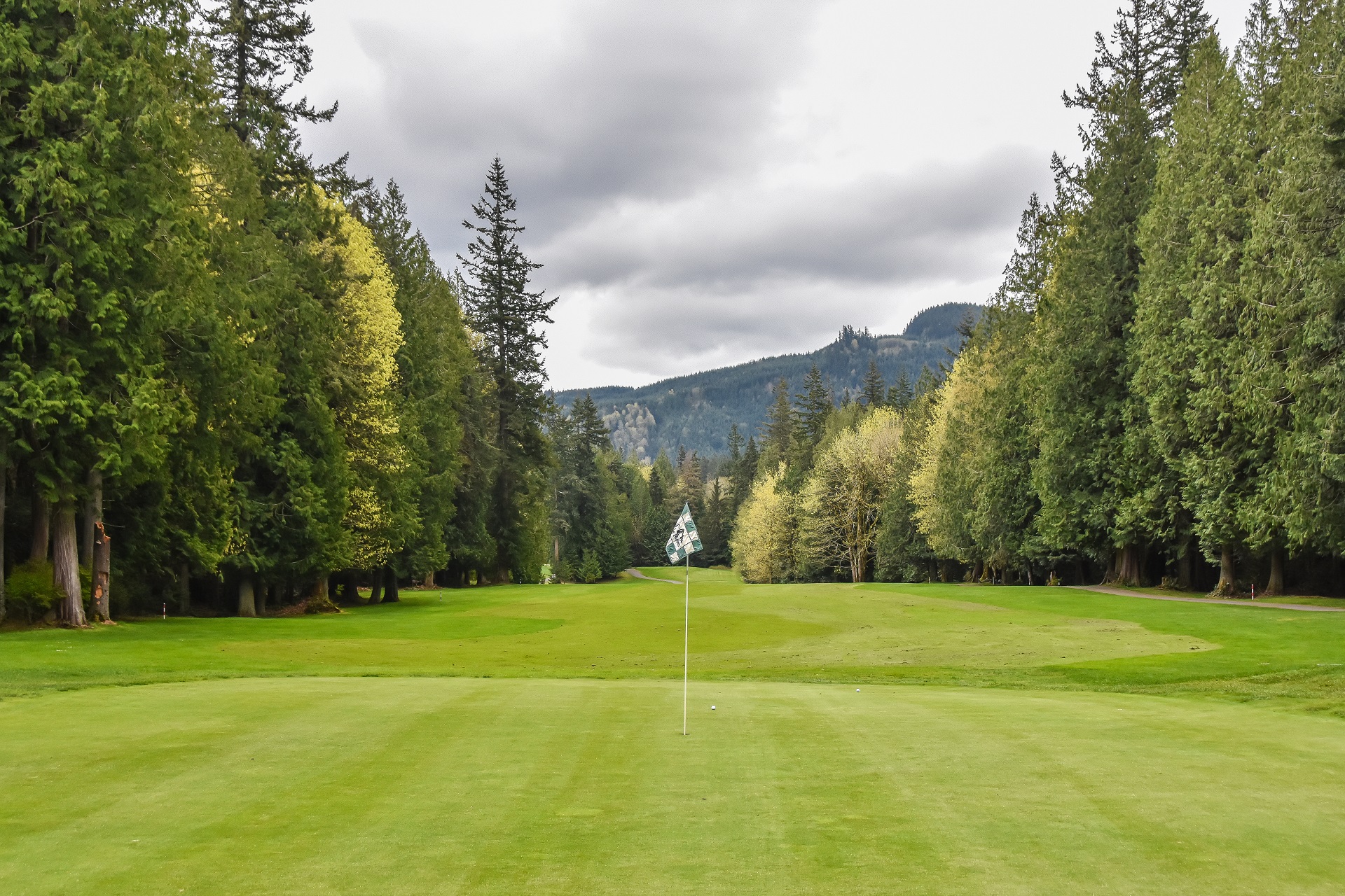 Golf club fairway