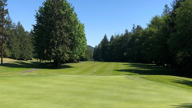 Sprawling golf course fairway with big tree in distance